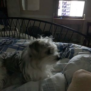 Meet your Posher, Bobby